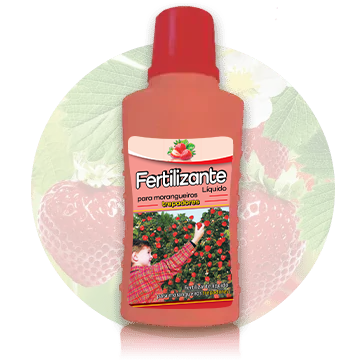 Fertilizante líquido para morangueiros trepadores