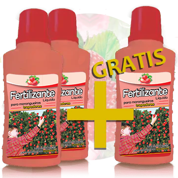 2 + 1 Fertilizante líquido para morangueiros trepadores
